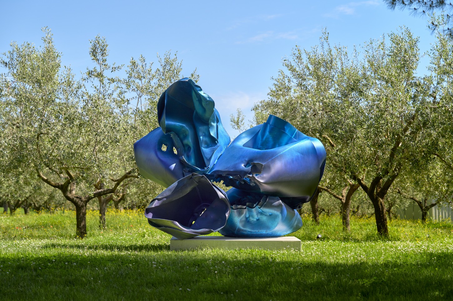 Six Lupine Sculptures in the midst of the vineyards and olive groves of Meneghetti Winery